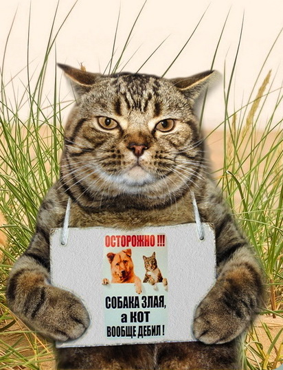 Платный курс 1